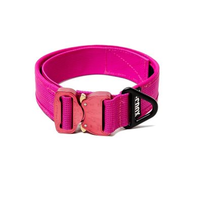 Working Halsband 40mm Tecdog 2 Working Halsband 40mm Tecdog