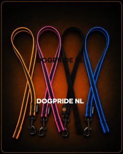DOGPRIDE NL Nylon antislip werklijn zonder handvat