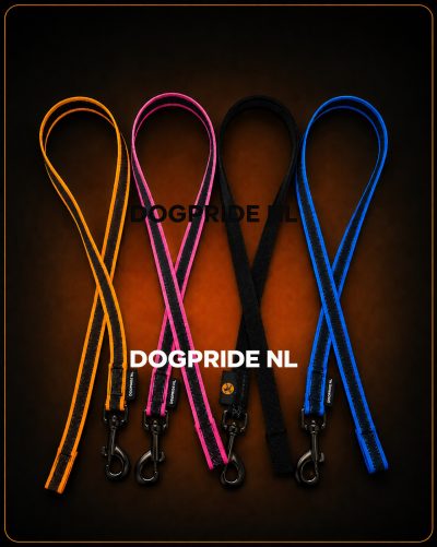 af6ec7f7-edd6-4341-8faf-d0e2990bc85f DOGPRIDE NL Nylon antislip werklijn zonder handvat