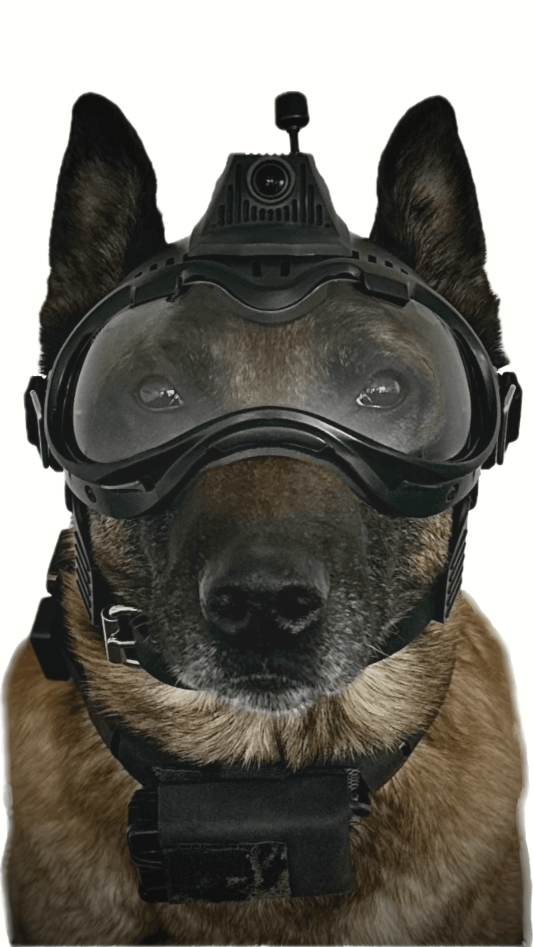 K9VS Argos K9 Camera System K9VS Argos K9 Camera System