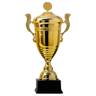 Coupe trophée en métal - Tasses de trophée de récompense en or - Grande  tasse de trophée de