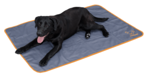 Bodyguard Dog Blanket Grey
