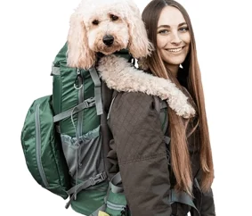 K9 Sport Sack Kolossus Rugzak Groen {{brizy_dc_image_alt entityId=