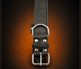 Zware Halsband Vetleder Dubbel Gestikt 40 mm x 55 cm
