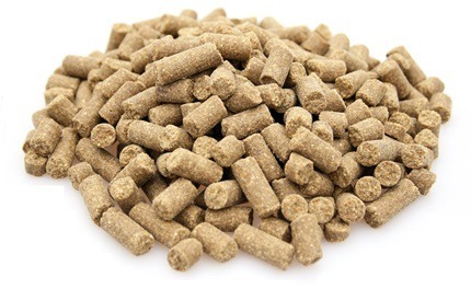 Graanvrij Super Premium Excellent Duck-Potatoes Graanvrij Super Premium Excellent Duck-Potatoes