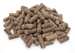 Graanvrij Super Premium Excellent Lamb & Potatoes