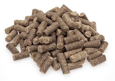 Graanvrij Super Premium Excellent Lamb & Potatoes