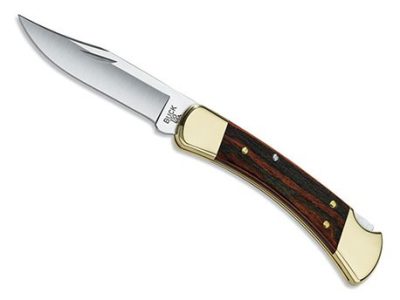 Buck Folding Hunter 110