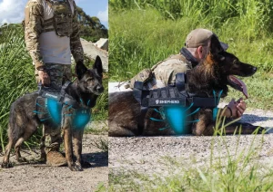 SHEPHERD Cooling System for Working K9s SHEPHERD Cooling System for Working K9s