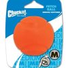 Chuckit Fetch Ball M 6cm 1Pack