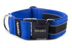 MOORIA Halsband Reflex Royal-Blue-II