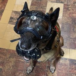 DarkFighter Built In K9 Camera