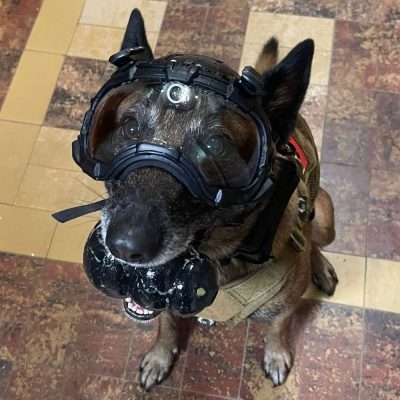 darkfighter-built-in-k9-camera-09-2 DarkFighter Built In K9 Camera