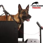 Dog Runner Tracks Hondenloopband Dog Runner Tracks Hondenloopband