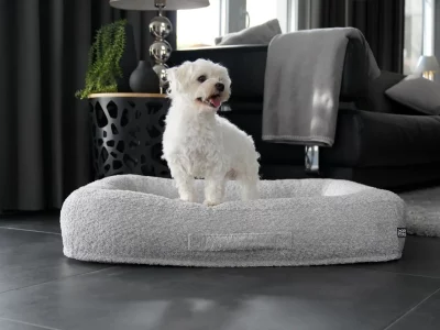 é Mypado Loui Boucle Hondenmand