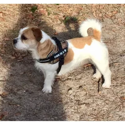 eigen-naam-label-1 162-LRW-B