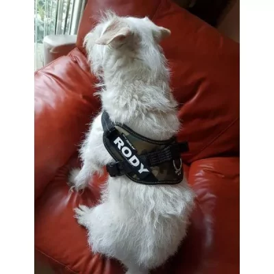 eigen-naam-label-101147-1 162-LRW-B