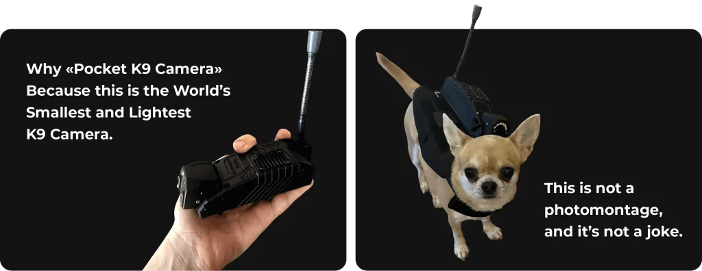 DarkFighter Pocket K9 Camera DarkFighter Pocket K9 Camera