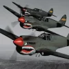 OENK9 P-40 Warhawk tribute halsband