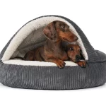 MYPADO Shell Corduroy Hondengrot MYPADO Shell Corduroy Hondengrot