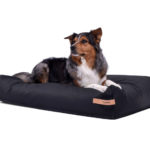 MYPADO Premium Kunstlederen Hondenkussen-Dute 