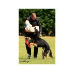 Euro Joe IPO kostuum Classic Euro Joe IPO kostuum Classic