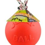 Jolly Ball Romp-n-Roll 15cm Oranje