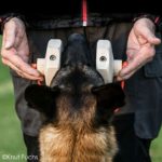 Knut Fuchs IGP-Apporteerblok 650g Havatar Knut Fuchs IGP-Apporteerblok 650g Havatar