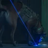 DarkSystems K9 Pointer Laser