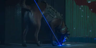 DarkSystems K9 Pointer Laser