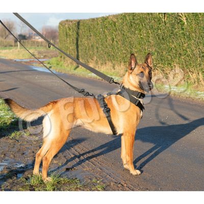 EURO-JOE Hondenharnas IRON POWER