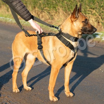 EURO-JOE Hondenharnas IRON POWER