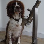 Medical Detection Stands Medical Detection Stands hond