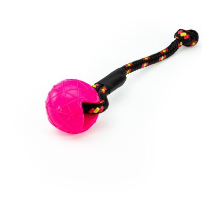 Speed Dogsport Moby Dog Ball Roze