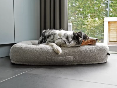 mypado-hundebett-loui-teddy-silber-02_1280x1280 Mypado Loui Teddy Hondenmand