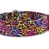 MOORIA Collar Crazy Tiger