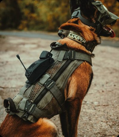 pocket6_1 DarkFighter Pocket K9 Camera