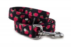 -raspberries raspberries