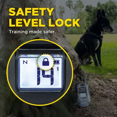 renewal_241210safety_d65f0d6c-aa26-482c-9251-8ed1c6dbfa0a DOGTRA 640X Trainingsband