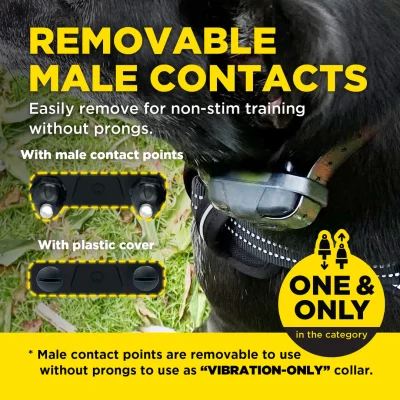 renewal_241231_KNOBUPDATEremovable_1 DOGTRA 640X Trainingsband