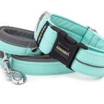 MOORIA Collar Reflex Fresh Mint I en II MOORIA Collar Reflex Fresh Mint I en II