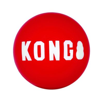 KONG Signature Balls L 2 st