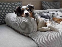 MYPADO Beschermende Deken Dakota