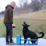 Sporthund Q-Box Sporthund Q-Box