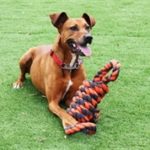 Happy Pet Extreme Tugger Grijs/Oranje