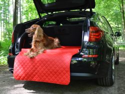 Auto hondenmand Travelmat® Stad Rood