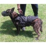 MORIN Kogelvrij vest voor honden met MOLLE-systeem