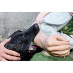 SAS VOLLEDIGE civiele deconditioneringsarm SAS VOLLEDIGE civiele deconditioneringsarm