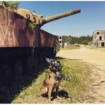 NANOHAWK Videodrohne für Spezialeinheiten NANOHAWK Videodrone voor Special Forces