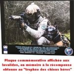 K9 VISION SYSTEM ONE met ingebouwde camera K9 VISION SYSTEM ONE met ingebouwde camera